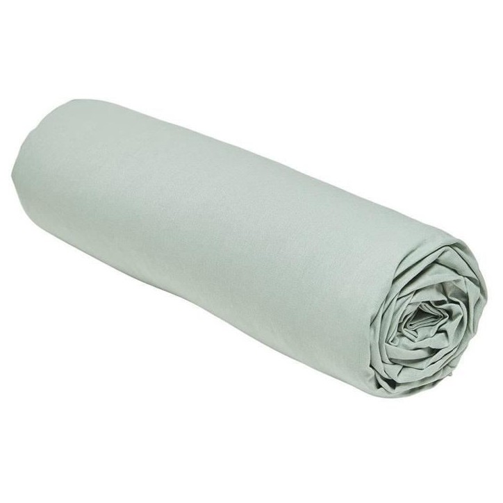 Drap housse TODAY Essential - 160 x 200+23 cm - 2 personnes - 100% Coton uni - Celadon