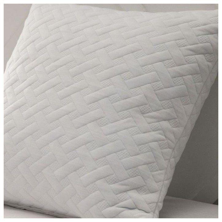 Lot de 2 oreillers a mémoire de forme 60x60 cm Lot de 2 oreillers a mémoire de forme 60x60 cm