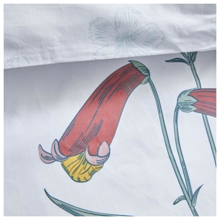 Parure de lit 2 personnes - TODAY - Sunshine 16.20 - 220 x 240 cm - 100% Coton imprimé