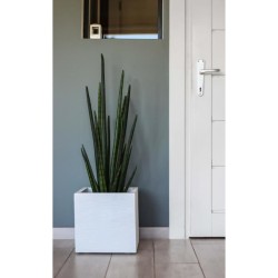 EDA Bac a fleurs carré GRAPHIT UP - 21 L - 29,5 x 29,5 x 29,5 cm - Bl