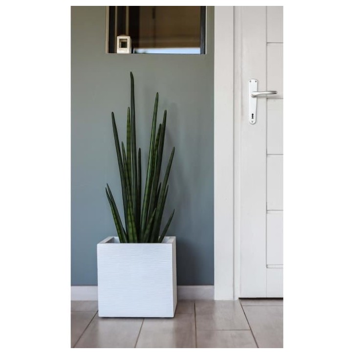 EDA Bac a fleurs carré GRAPHIT UP - 21 L - 29,5 x 29,5 x 29,5 cm - Blanc cérusié