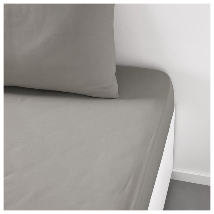 Drap housse TODAY Essential - 140 x 200+30 cm - 2 personnes - 100% Coton uni - Dune