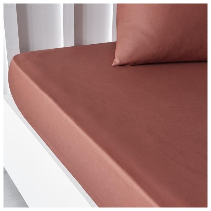 Drap housse TODAY Essential - 160 x 200+30 cm - 2 personnes - 100% Coton uni - Terracotta