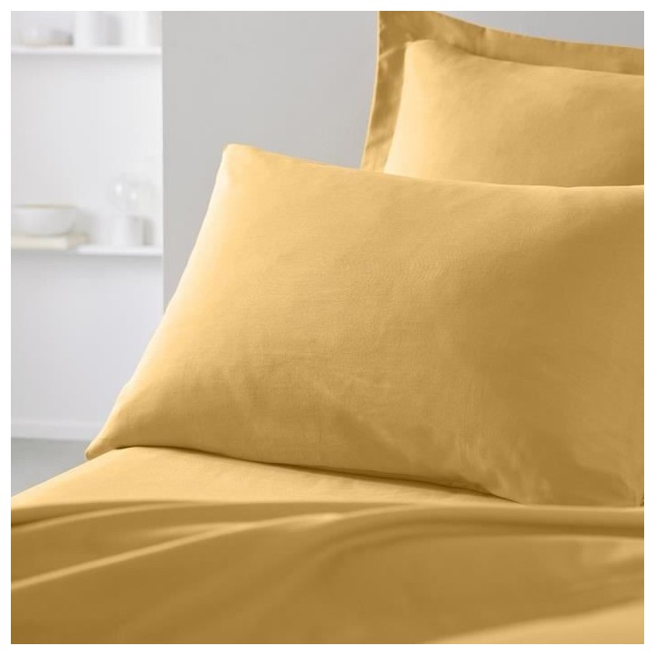 Taie d'oreiller TODAY Essential - 50 x 70+5 cm - 100% Coton uni - Ocre