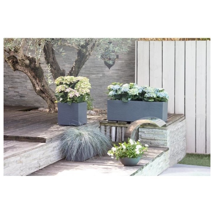 EDA Bac a fleurs carré GRAPHIT UP - 21 L - 29,5 x 29,5 x 29,5 cm - Gris anthracite EDA Bac a fleurs carré GRAPHIT UP - 21 L - 29,5 x 29,5 x 29,5 cm - Gris anthracite