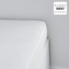Drap housse TODAY Essential - 160 x 200+25 cm - 1 personne - 100% Coto