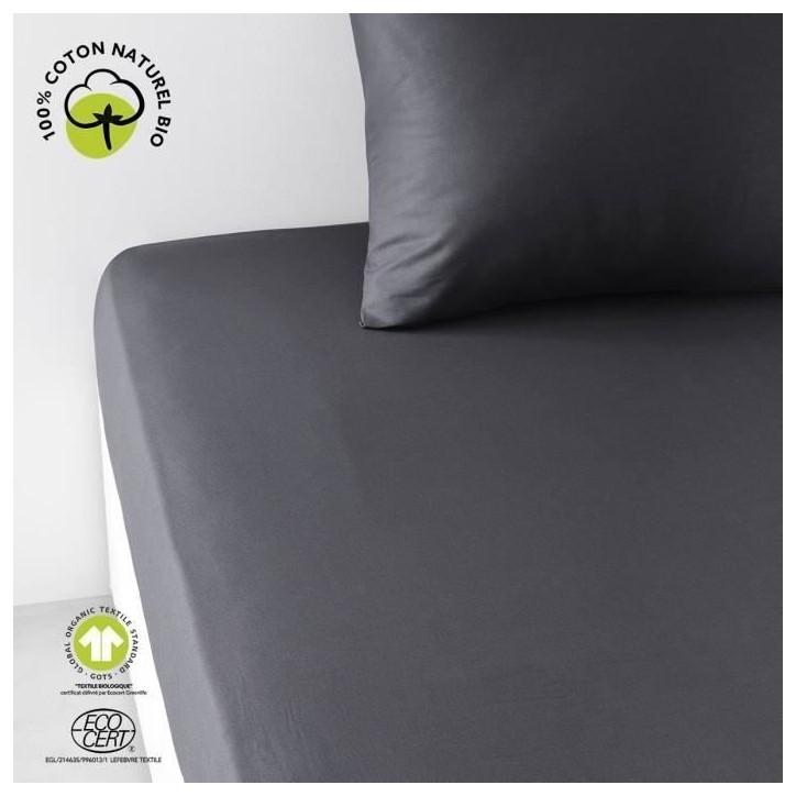Drap housse - TODAY - 160 x 200 cm + 30 cm - Coton - Organic Fusain