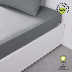 Drap housse - TODAY - 160 x 200 cm + 30 cm - Coton - Organic Acier