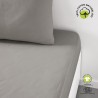 Drap housse - TODAY - 180 x 200 cm + 30 cm - Coton - Organic Dune