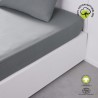 Drap housse - TODAY - 180 x 200 cm + 30 cm - Coton - Organic Acier