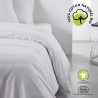 Housse de couette - TODAY - 240 x 260 cm - Coton - Organic Craie