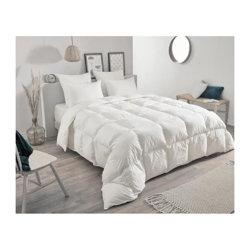 Couette - TOISON D'OR - Daisy - Chaude - 240x260cm - Plumette et duvet Couette - TOISON D'OR - Daisy - Chaude - 240x260cm - Plumette et duvet