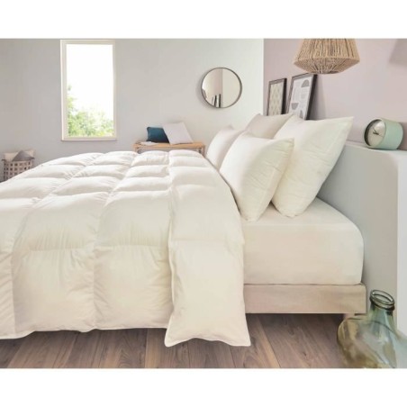 Oreiller - TOISON D'OR - POLLUX - Confort ferme - 50 x 70 cm - Blanc
