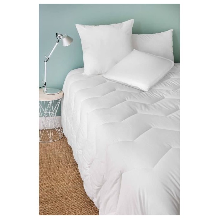 Oreiller mémoire de forme - TOISON D'OR - Paresse Soft - Confort extra souple - 40x60cm - Blanc Oreiller mémoire de forme - TOISON D'OR - Paresse Soft - Confort extra souple - 40x60cm - Blanc
