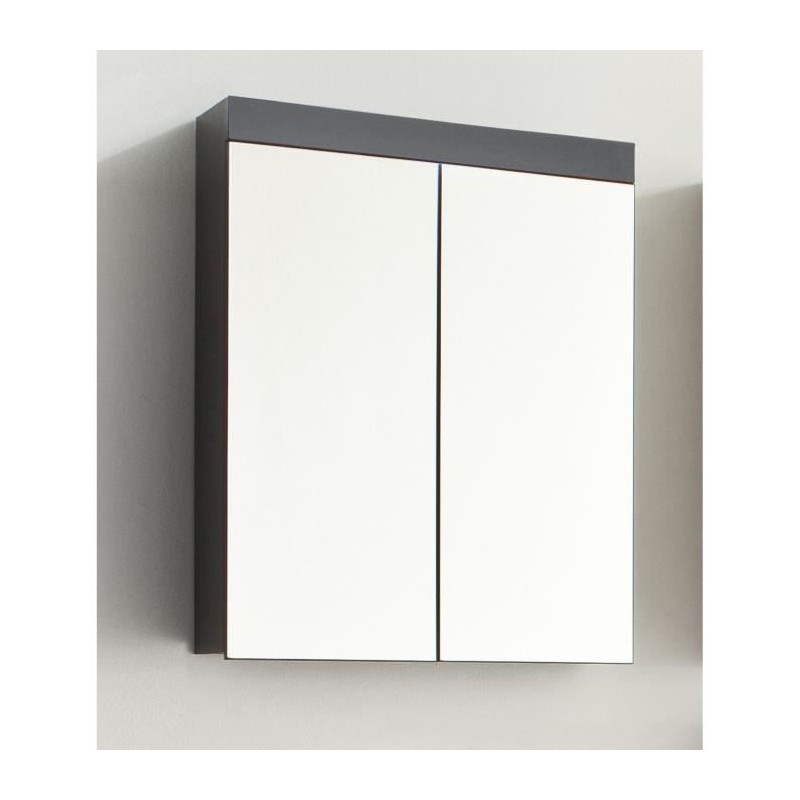 Meuble de salle de bain - Armoire de toilette - Miroir - 2 portes - Gr Meuble de salle de bain - Armoire de toilette - Miroir - 2 portes - Gr