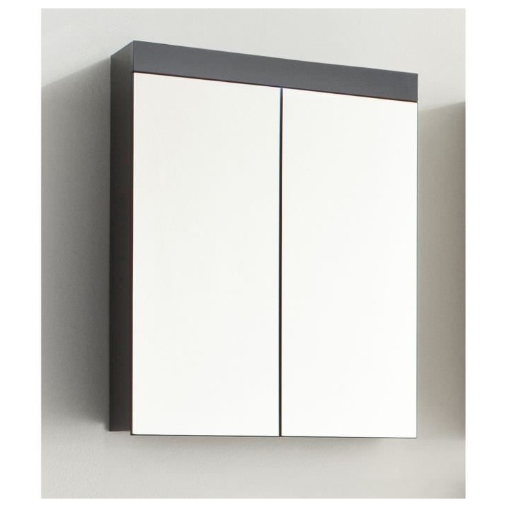 Meuble de salle de bain - Armoire de toilette - Miroir - 2 portes - Gris - L60 x P17 x H77cm - AMANDA Meuble de salle de bain - Armoire de toilette - Miroir - 2 portes - Gris - L60 x P17 x H77cm - AMANDA