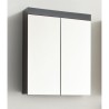Meuble de salle de bain - Armoire de toilette - Miroir - 2 portes - Gr