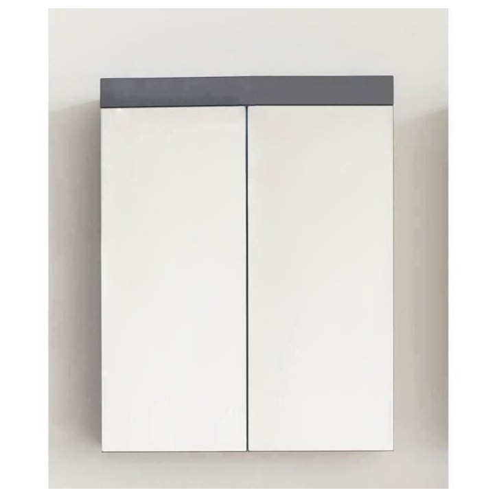 Meuble de salle de bain - Armoire de toilette - Miroir - 2 portes - Gris - L60 x P17 x H77cm - AMANDA Meuble de salle de bain - Armoire de toilette - Miroir - 2 portes - Gris - L60 x P17 x H77cm - AMANDA