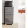 Meuble de salle de bain Rangement bas - 1 porte & 1 tiroir - Gris - L