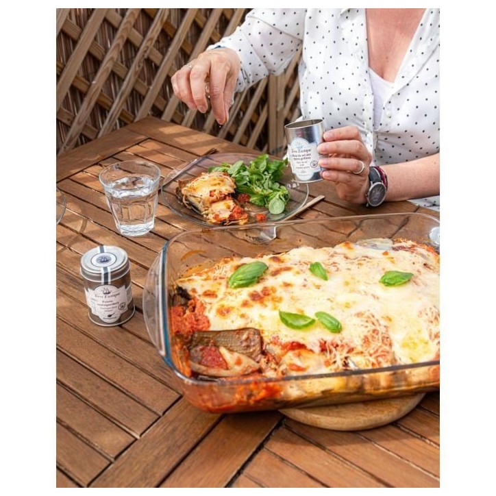 Plat a lasagnes - PYREX - 1450033 - Rectangulaire - En verre borosilicate - 40 x 27 cm