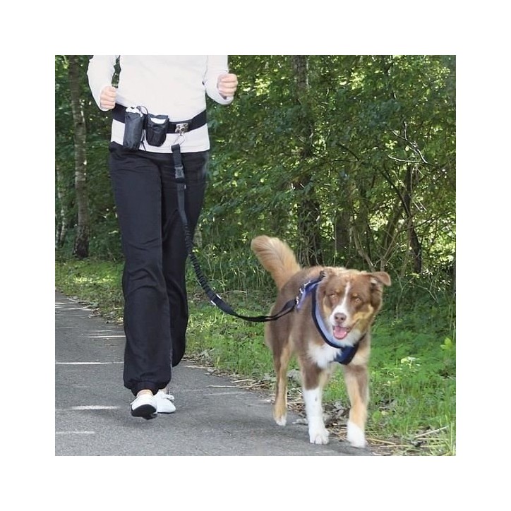 Ceinture ventrale avec laisse Ceinture ventrale avec laisse