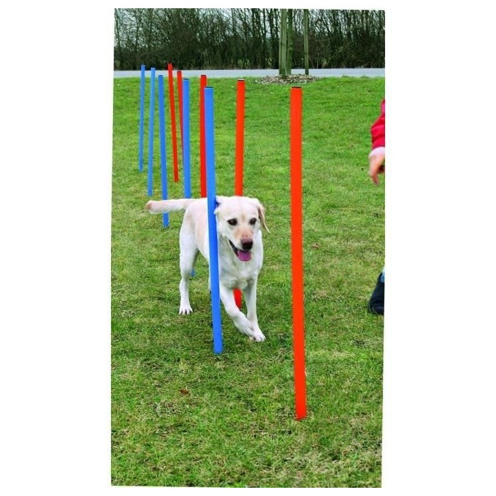 TRIXIE Piquets de slalom pour parcours d'agilité 115 cm 12 pcs Plastique