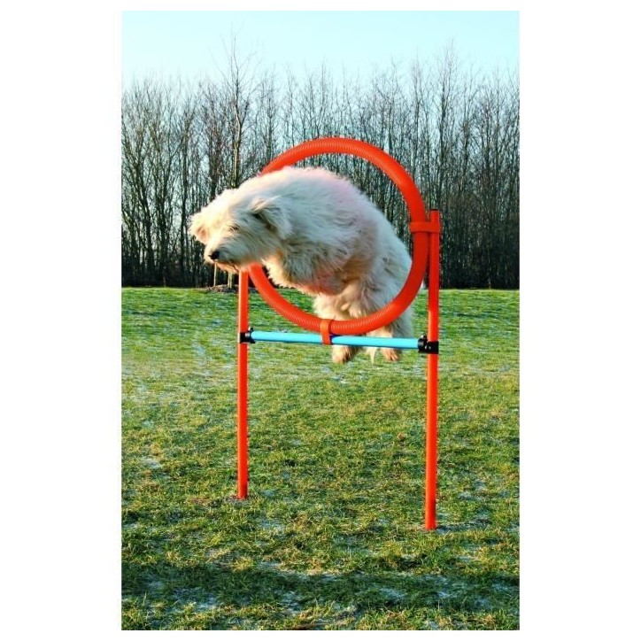 TRIXIE Cerceau d'agilité pour chiens 115 x 3cm plastique TRIXIE Cerceau d'agilité pour chiens 115 x 3cm plastique