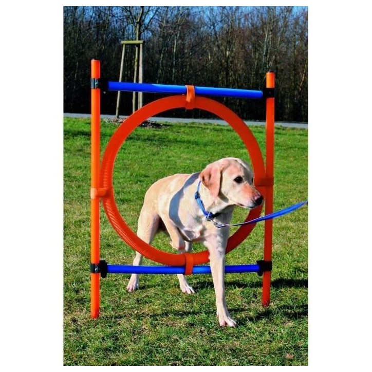 TRIXIE Cerceau d'agilité pour chiens 115 x 3cm plastique TRIXIE Cerceau d'agilité pour chiens 115 x 3cm plastique