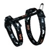 Harnais pour chatons - Nylon - 21-34 cm - Réglable - Diverses couleur