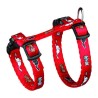 Harnais pour chatons - Nylon - 21-34 cm - Réglable - Diverses couleur