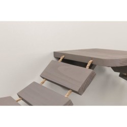 Échelle d'escalade murale pour chats TRIXIE - 150x30 cm - Taupe en bo