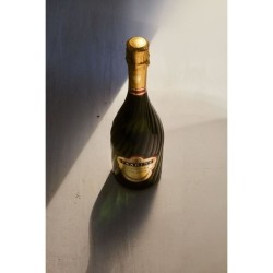 Champagne Tsarine Cuvée Solium Brut - Premier Cru - 75cl