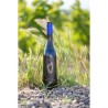 Domaine Terra Vecchia Cuvée Elégance 2024 Corse - Vin blanc de Corse