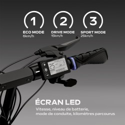 Trottinette électrique - URBANGLIDE - ECROSS ONE - 800 W - Pneus 10 -