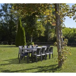 Table a manger de jardin QUEEN effet rotin - Anthracite - 220 x 90 x 7