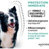 Pipettes préventives antiparasitaires - VETOCANIS - x2 - Pour Chiens