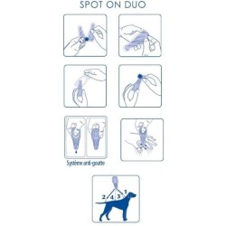 Pipettes action duo - VETOCANIS - 268mg/80mg Solution pour Grands Chie