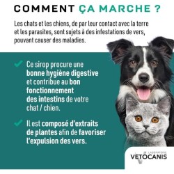 Sirop aide a l'hygiene digestive - VETOCANIS - VERSTOP - Pour Chien et