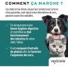 Sirop aide a l'hygiene digestive - VETOCANIS - VERSTOP - Pour Chien et