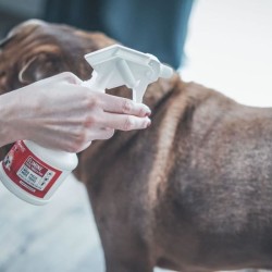 Spray Fipronil anti-puces et tiques - VETOCANIS - 2,5 mg pour Chats et