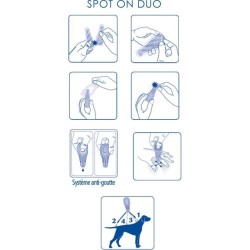 Pipette action duo - VETOCANIS - 134mg/40mg Solution pour Chiens Moyen