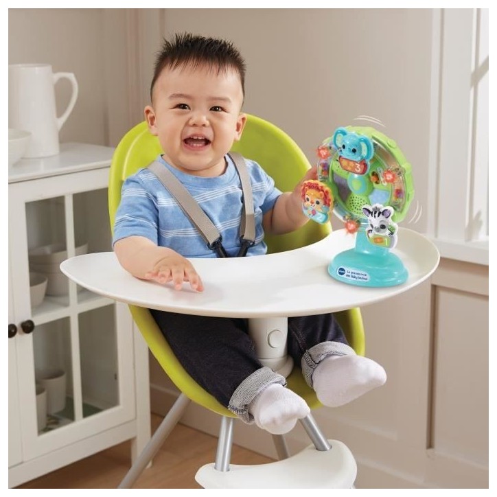 VTECH BABY - La Grande Roue des Baby Loulous - Roue musicale avec ventouse anti-chute - Vert/Multicolore