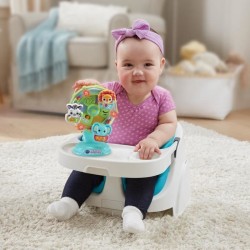 VTECH BABY - La Grande Roue des Baby Loulous - Roue musicale avec vent