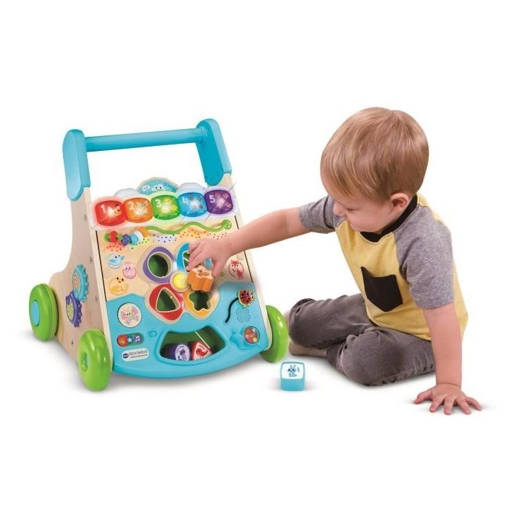 VTECH SUPER TROTTEUR NATURE INTERACTIF (JOUET AVEC PARTIE BOIS CERTIFIE FSC) VTECH SUPER TROTTEUR NATURE INTERACTIF (JOUET AVEC PARTIE BOIS CERTIFIE FSC)