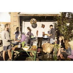 WEBER Barbecue Grill Electrique Stand Q 1400 stand - Surface de cuisso