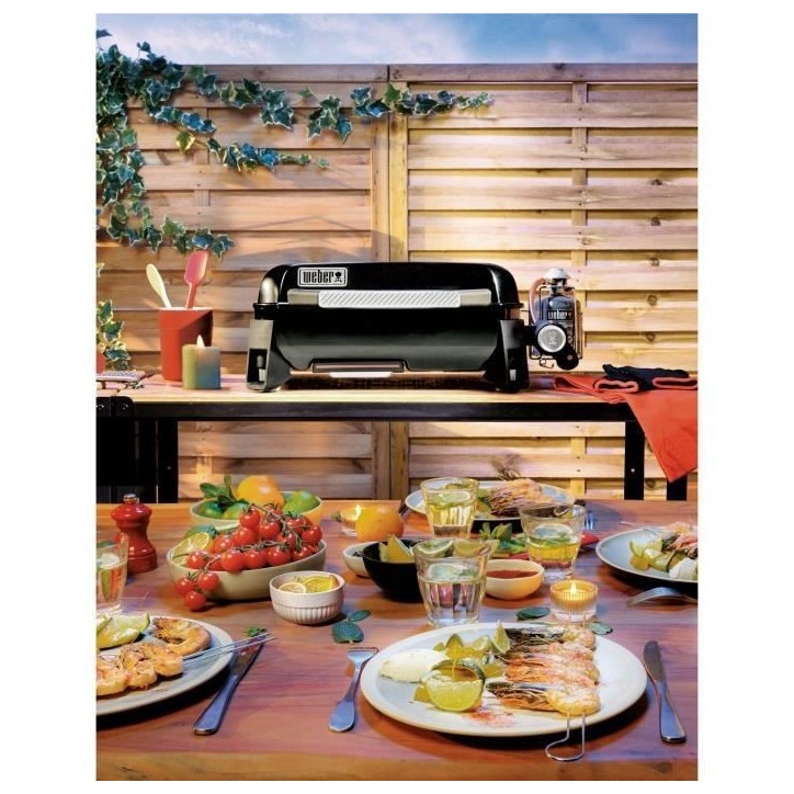 WEBER Plancha gaz Premium Weber SLATE GP 43 cm - Surface de cuisson: 43 x 41 cm - Noir WEBER Plancha gaz Premium Weber SLATE GP 43 cm - Surface de cuisson: 43 x 41 cm - Noir