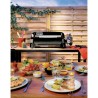 WEBER Plancha gaz Premium Weber SLATE GP 43 cm - Surface de cuisson: 4