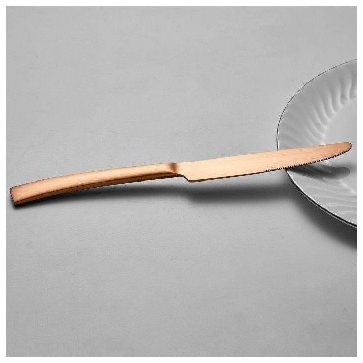 Ménageres - ARTHUR MARTIN - AM0056 - 24 pieces - Acier inoxydable - Finition cuivre Ménageres - ARTHUR MARTIN - AM0056 - 24 pieces - Acier inoxydable - Finition cuivre