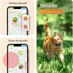 Traceur GPS pour Chat - Weenect XS (Black Edition 2023)