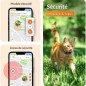 Traceur GPS pour Chat - Weenect XS (Black Edition 2023)